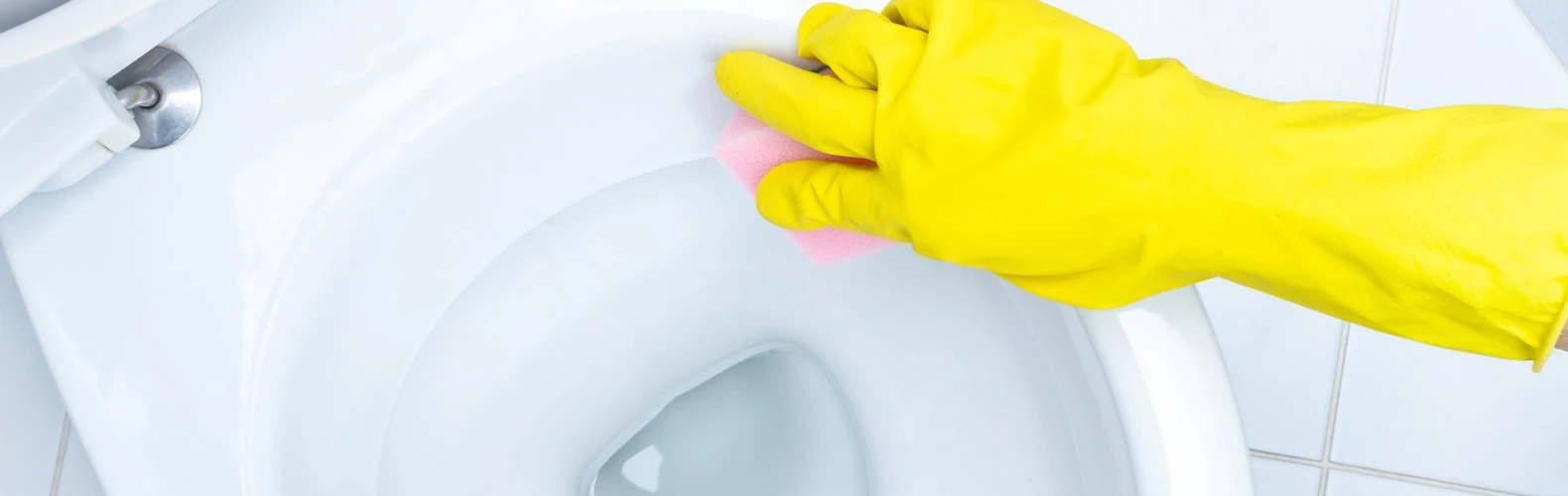 WC Frisch-Shop -WC Frisch-Shop block banner3 3.3